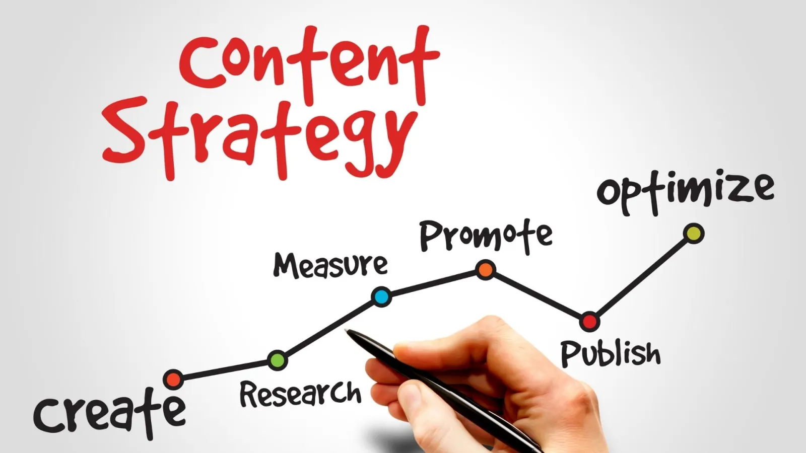 Content Creation and Optimisation