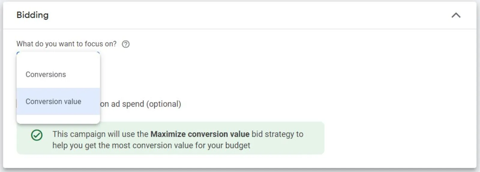 PMax Bidding Strategy