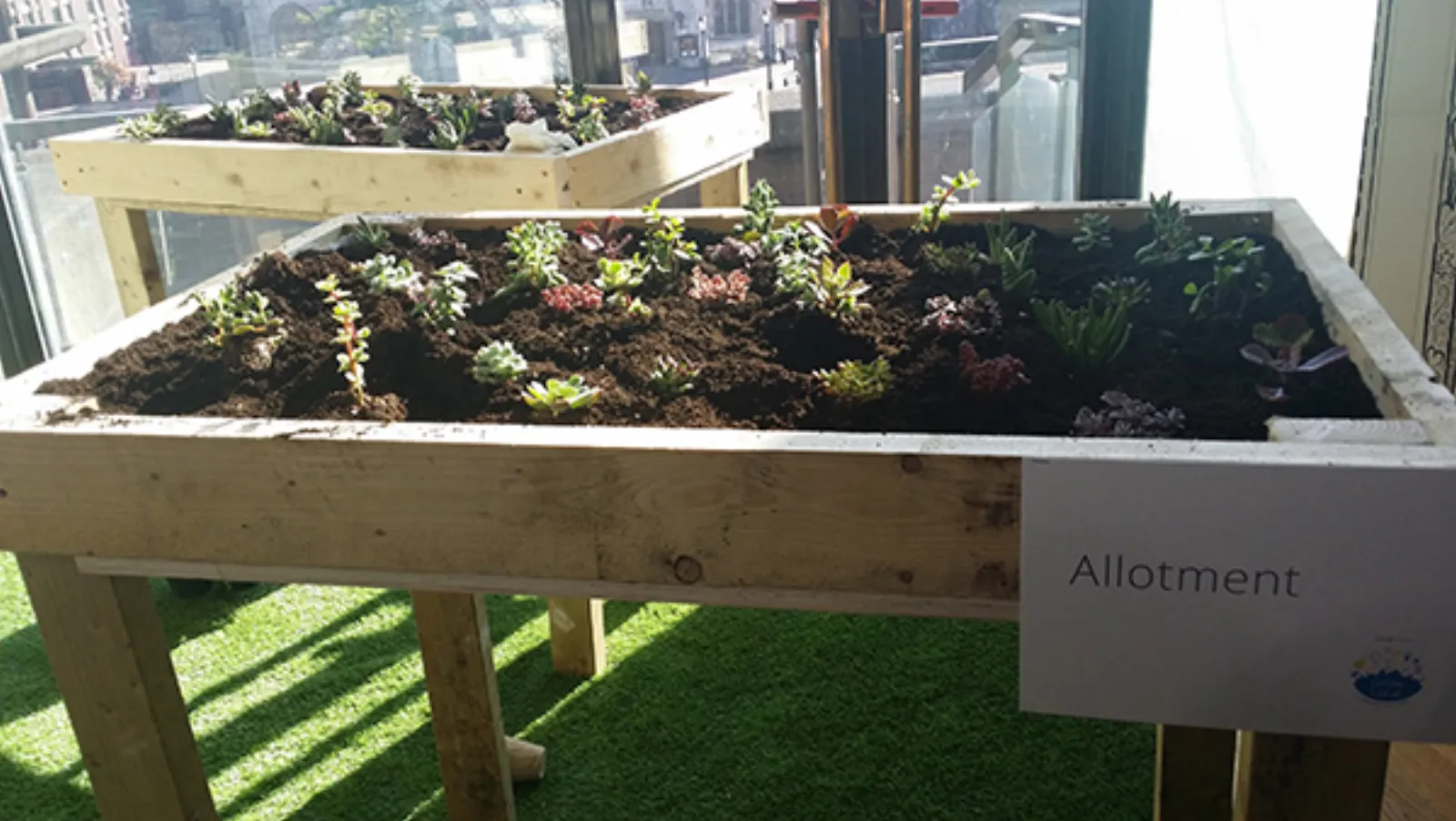 Google Grow Local Garden Party