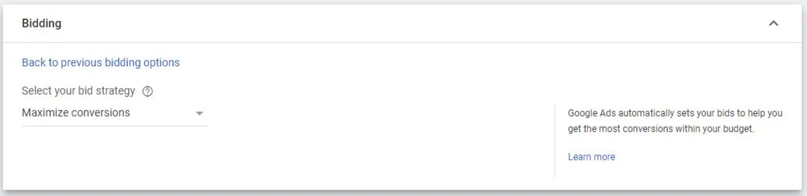 Google Ads Bid Strategy