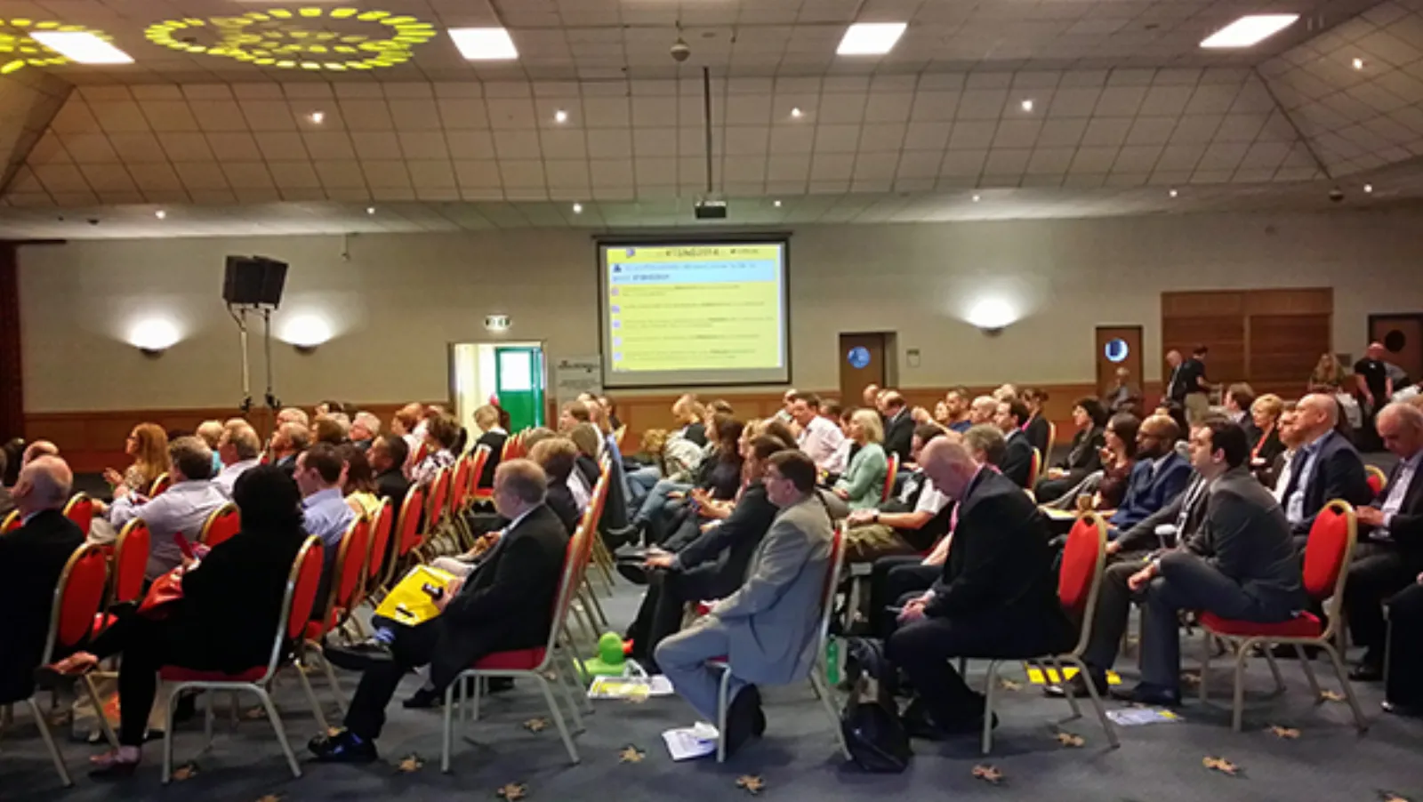The Business Networking Show