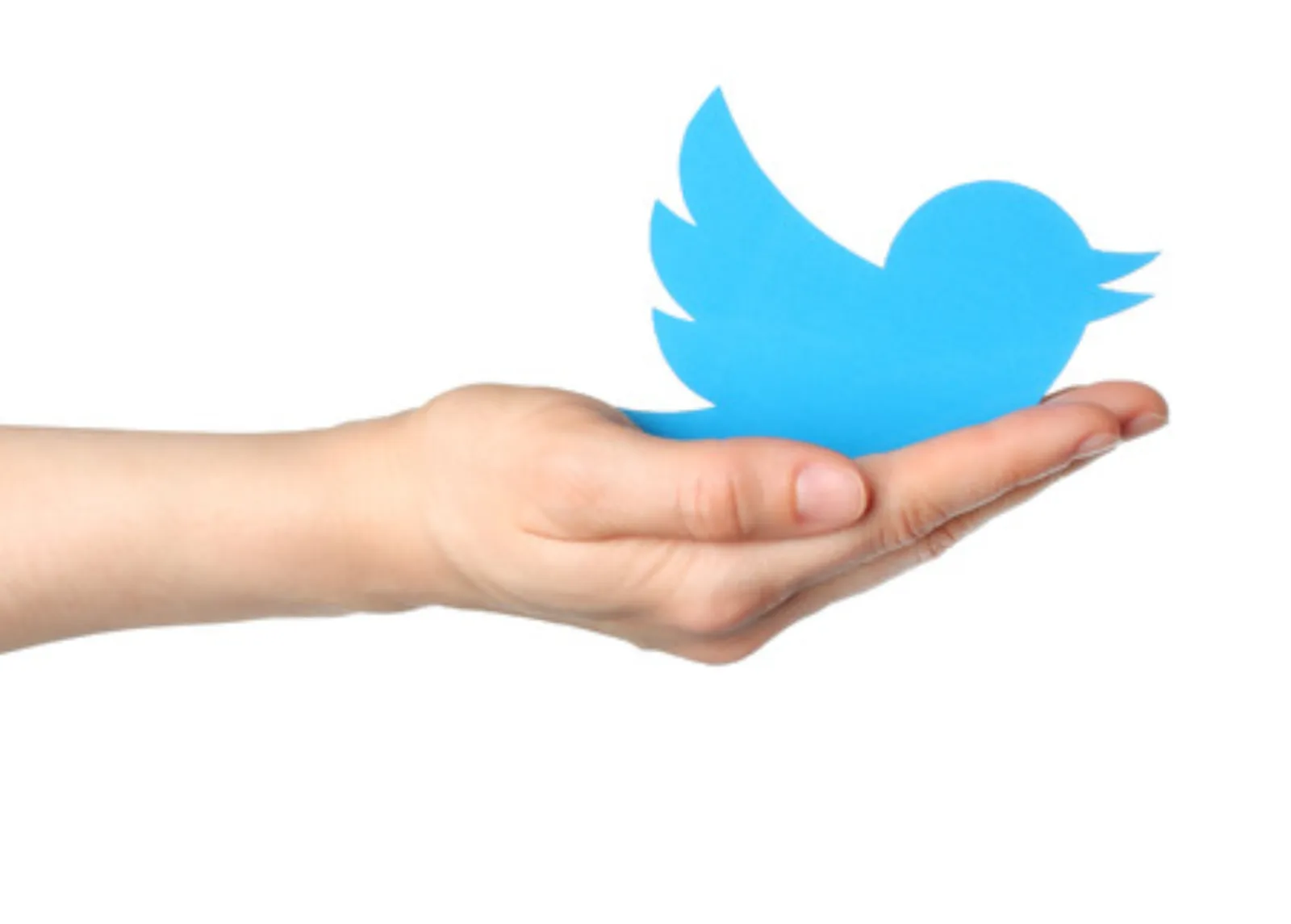 Twitter Ads For Local Marketing