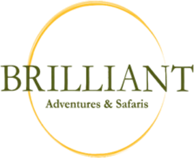 Brilliant Adventures and Safaris